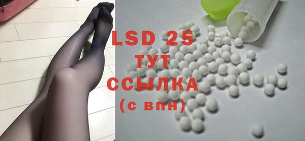 PSILOCYBIN Кукмор