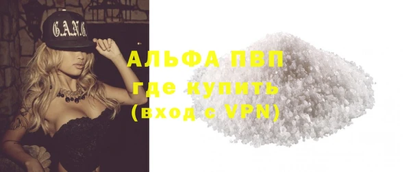 PSILOCYBIN Кукмор