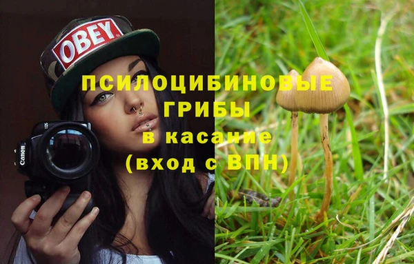 твердый Кулебаки
