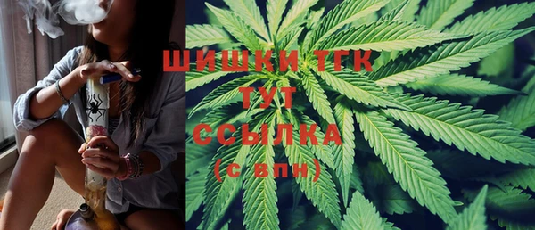 PSILOCYBIN Кукмор