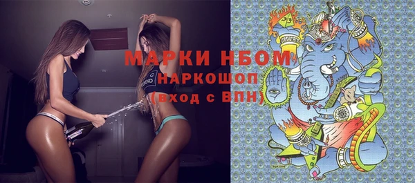 PSILOCYBIN Кукмор